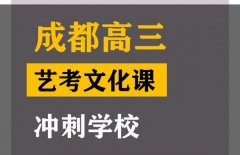 成都金牛区舞蹈生文化课辅导机构,高三艺