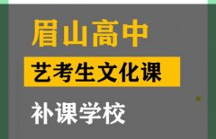 眉山艺考生文化课考几门课,高三文化课提