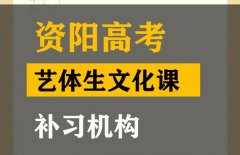 绵阳艺体生文化课补习怎么收费,高三文化